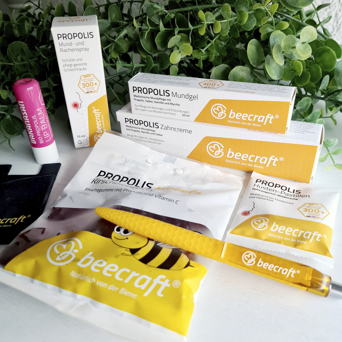 Beecraft Testpaket