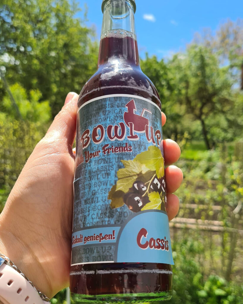 BowlUp Bowl Up Testpaket