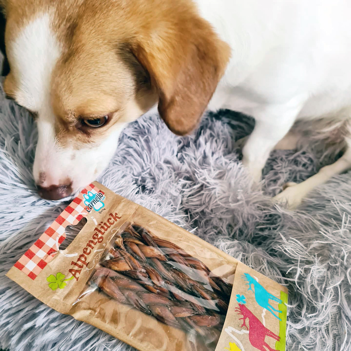 Carnello Hund Testpaket