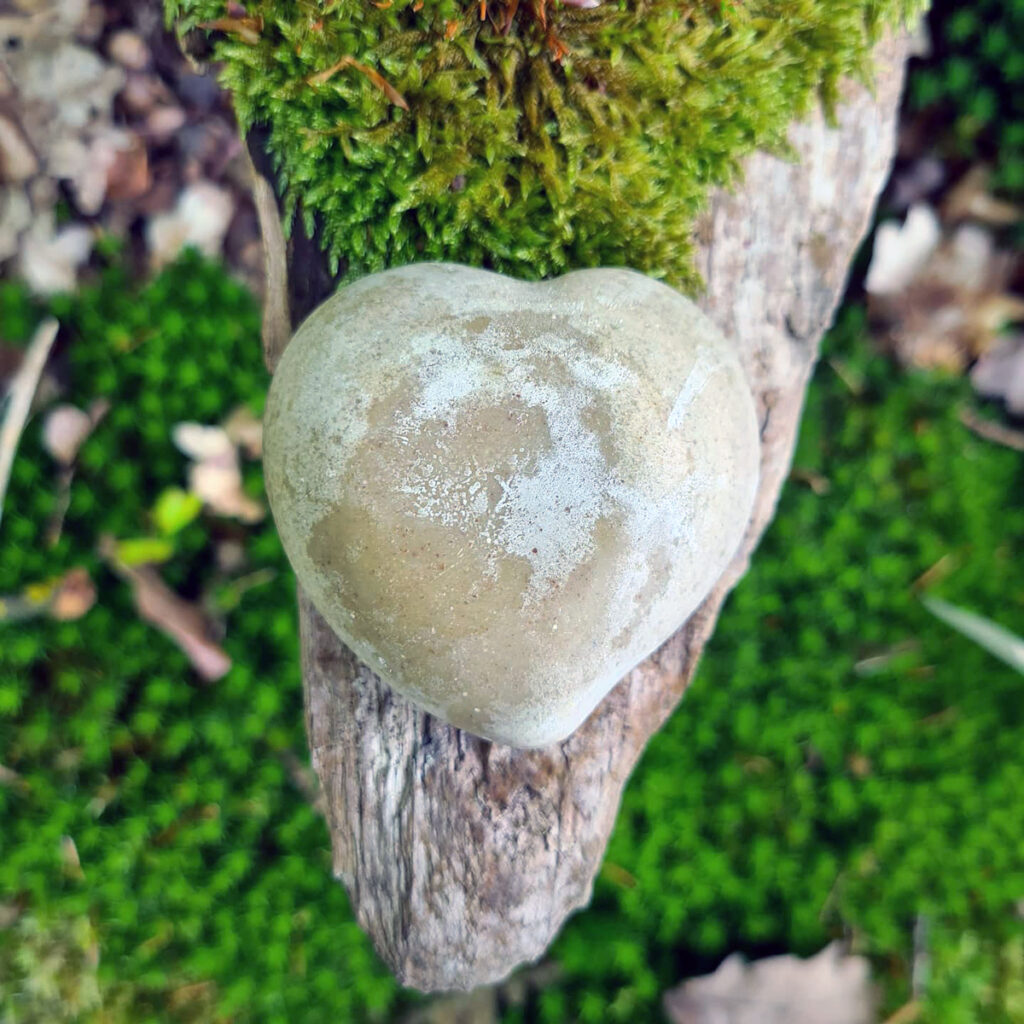 LT_Naturprodukte LT Naturprodukte Haarseife Testpaket