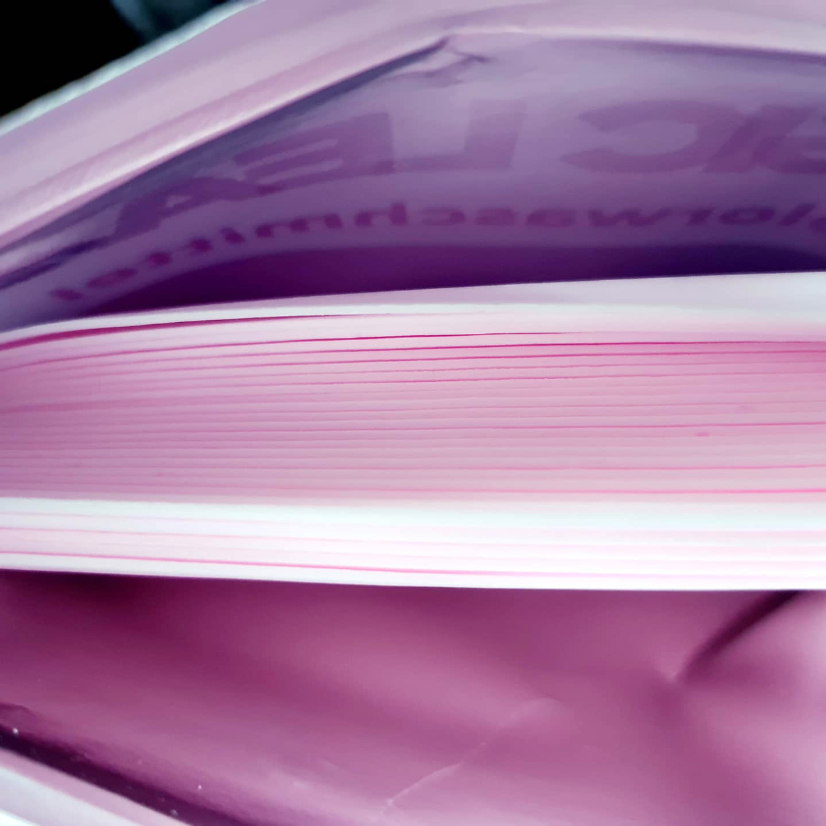 Magic Leaves Colorwaschmittel