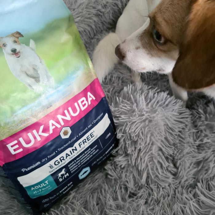 Eukanuba Grain Free Adult