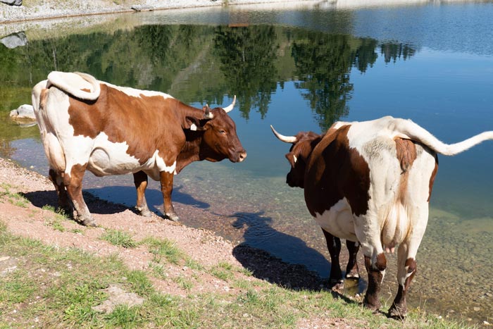 Kneipp_ViP_Autoren_Event_2022_10