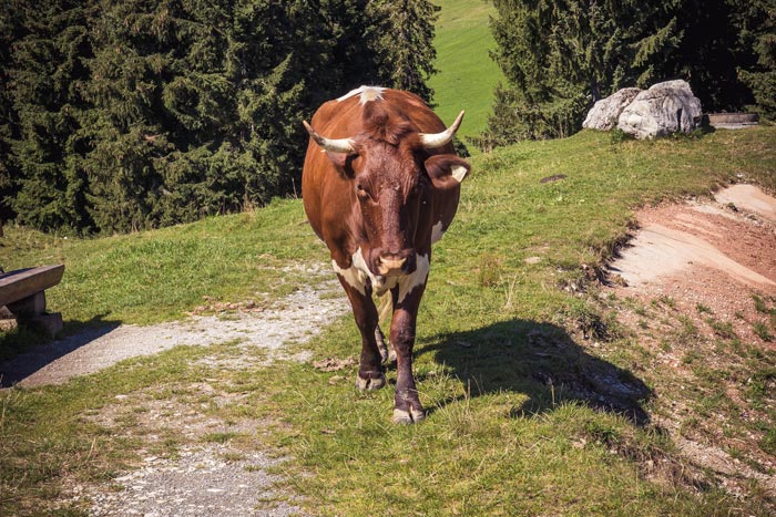 Kneipp_ViP_Autoren_Event_2022_12