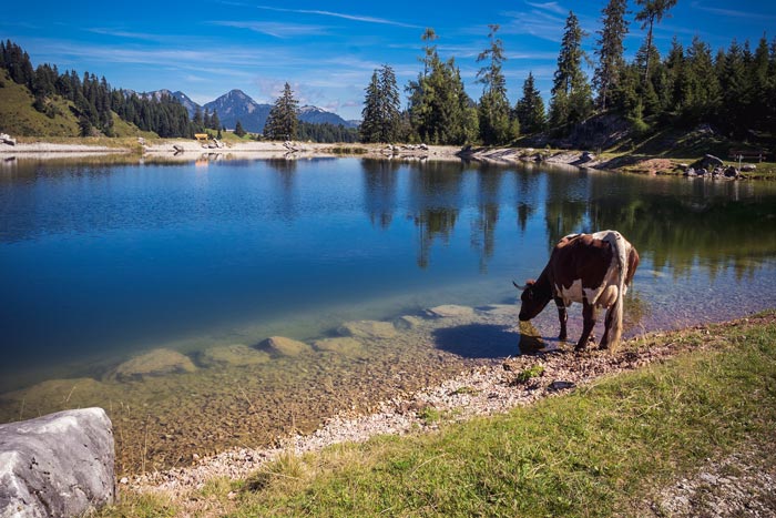 Kneipp_ViP_Autoren_Event_2022_14