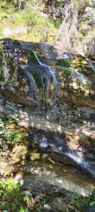 Kneipp_ViP_Autoren_Event_2022_46