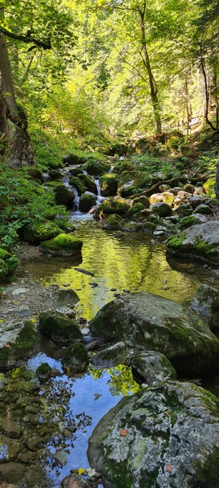 Kneipp_ViP_Autoren_Event_2022_49