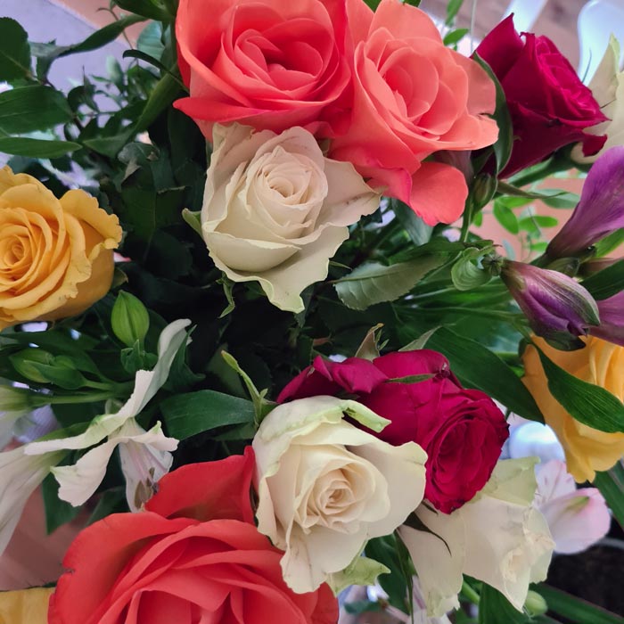 Kneipp_ViP_Autoren_Event_2022_85