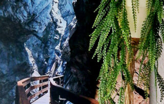 Saal Digital 50 x 70 cm Leinwand